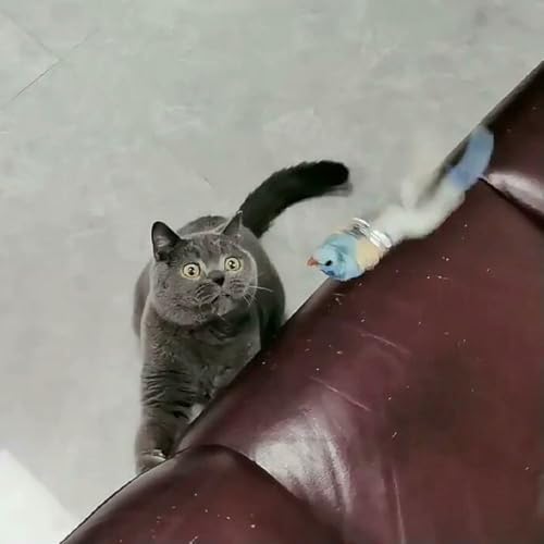 Tête de rechange pour chat lot de 2 embouts plume pour jouet interactif - 5