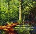 Landscapes in Oils (How to Paint): Landscapes In Oils