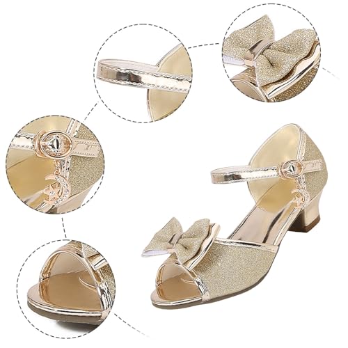 IWIHMIV Girls Sandals Low Chunky Heels Ankle Strap Toddler Girls Dress Shoes Open Toe Flower Girl Sandals for Wedding4