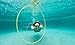 Water Sports Swim Thru Rings: 3-Pack 30-Inch Collapsible Rings, Depth Adjustable Pool Toys for Swimming Pool - Essential Water Toys and Pool Accessories for Summer Fun, Assorted Pack