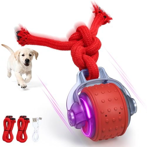Image of Interactive Dog Toys, Smart Automatic Moving Dog Ball with Rope, Rechargeable Motion Activated Rolling Dog Toy for Small Large Dogs Aggressive chewers to Keep Them Busy