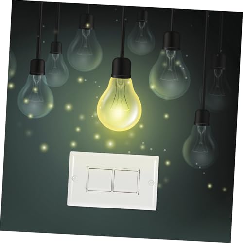 Interruptor de Luz Doble de 10A con placa de cubierta clara de hierro y ABS 2