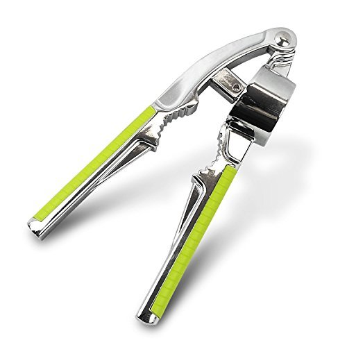 Buy EssentialKD Garlic Press, Best Garlic Press Stainless Steel