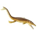 Safari S305629 Model