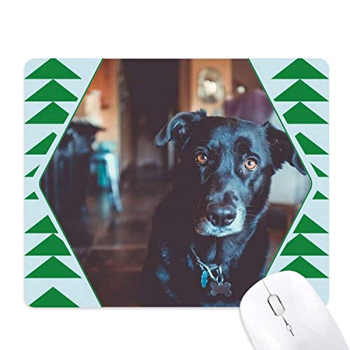 Tapis de souris chien noir pour amoureux des animaux, le cadeau de bureau idéal