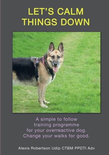 Let'S Calm Things Down: A Simple To Follow Training Programme For Your Overreactive Dog, Change Your Walks For Good