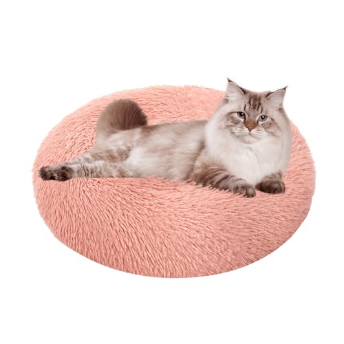 Puraday Hundebett Rosa – 100x50x21 Cm, Samtweiches Sofa Für Hunde & Katzen, Stylisches Design