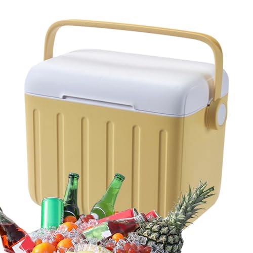 Ceprznvey - Caja isotérmica exterior de 6 l para camping picnic playa coche – enfriador de picnic con acumulador de frío para viajes, , playa, comida y lactancia