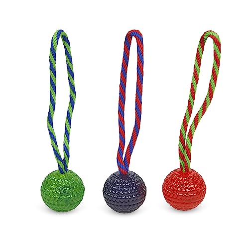 Toyz by Petface Chew and Bouncy Rope Ball for Dog Blue/Red/Green