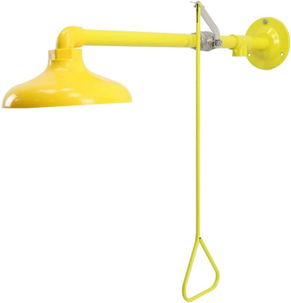 CGOLDENWALL Emergency Shower Safety Shower Station can Match with eyewash Station Eye Wash (ABS Coating Stainless Steel, NPT threads) : Industrial & Scientific