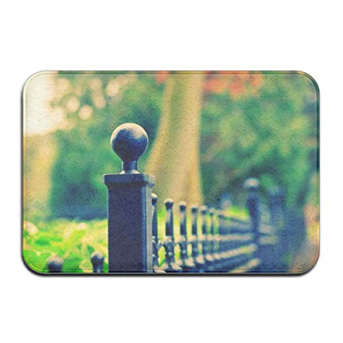 HUTTGIGH Indoor Door Mat (16