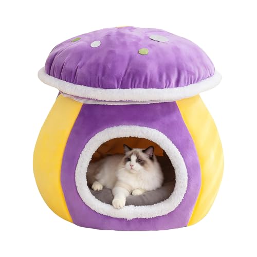 Niche pour chat et chiot : résolvez le problème du froid au sol avec ce lit champignon