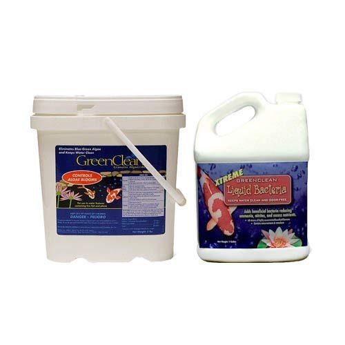 BioSafe GreenClean Algaecide 8lb PLUS GreenClean Xtreme Beneficial Bacteria 1 Gal