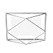 Umbra Prisma Picture Frame, 4x6 Metal Photo Display for Desk or Wall, 4