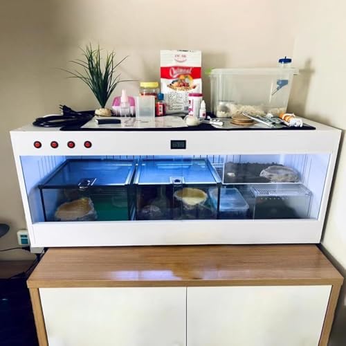 Terrarienbecken aus Glas mit Panoramablick für Reptilienlebensraum