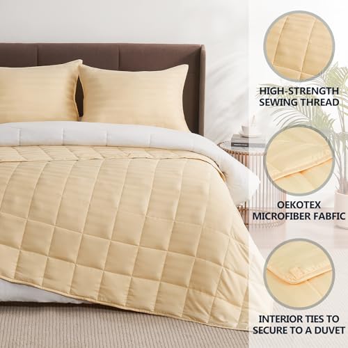 Image of Weighted Blanket Queen Size (60 inchx80 inch 12lbs),Ultra Soft and Cozy Cooling Weighted Blanket Queen Size for Adult,Heavy Blanket with Machine Washable Soft Blanket, Beige