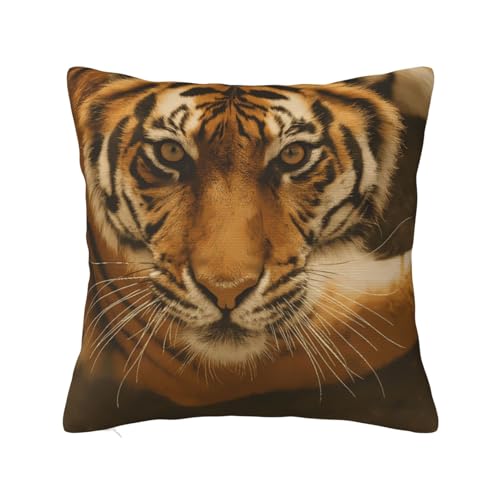 �� �g�� ���� ���J�o�[ ���� �N�b�V�����J�o�[�x�b�h�p �y�ʐ􂦂� 24"X24"