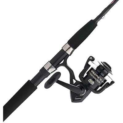 Penn Wrath II Spinning Reel and Fishing Rod Combo
