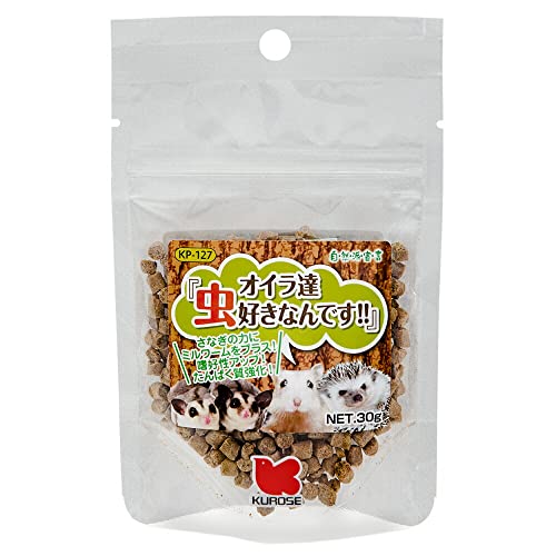 ybgt[h@Rh錾@ICBDȂł!!@30g   nX^[@X@K@nlY~@^CR Tvg