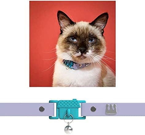 Siamese cat collar Clearance