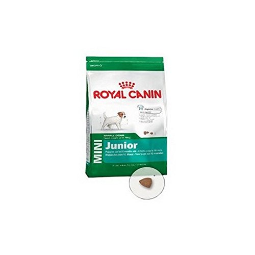 Royal Canin Mini Dog Junior (2 kg) (confezione da