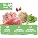 Bosch Freshe Schnauze, Pute mit Quinoa und Spinat 1 x 250 g, Schonend Dampfgegartes Nassfutter für Hunde, Vollwertiges Alleinfuttermittel mit hohem Fleischgehalt, 250 g Hundenassfutter