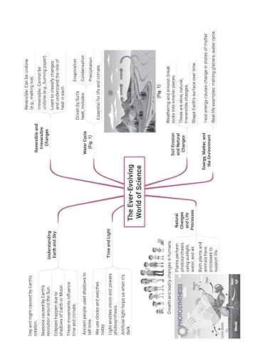 Image of Oswaal CBSE Class-7 One for All Science (Curiosity) For 2026-27 Exam | As Per NCERT & CBSE Syllabus | Chapter-Wise Question Bank, Revision Notes, Theory, Diagrams & Competency Based Questions