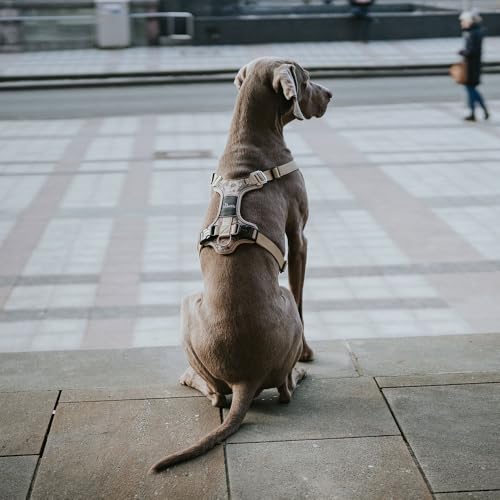 Hunter Geschirr DIVO Camouflage, Farbe: rosa, ergonomisch geformt, 5-Fach verstellbar, mit Aluminium-Schnallen, atmungsaktiv gepolstert, 3M Scotchlite reflektierend, Größe: S