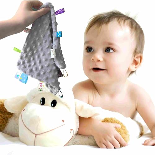 Image of CREVENT Soft Baby Lovey Security Blanket, Small Plush Comfort Blanket for Baby Girls, Sensory Soothing Toy, Newborn, 10 inch x 10 inch 2pcs