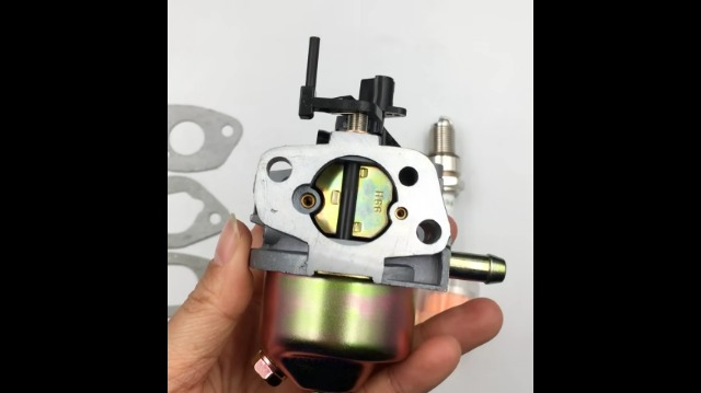 Amazon.com: LIZAPUS Huayi OEM Carburetor 47377870 Compatible with