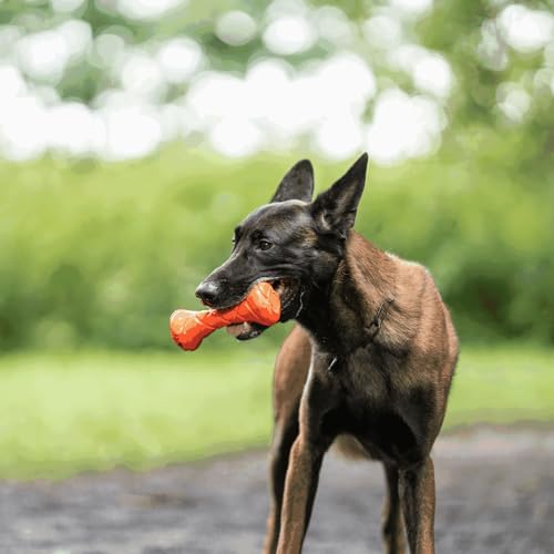 Sprenger Hundespielzeug Apportierhantel - Spaß und Training für alle Hunderassen, orange - 18 x 7cm