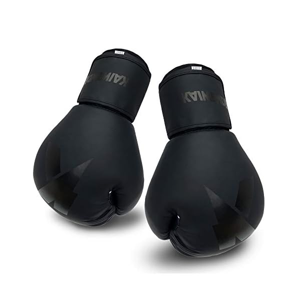 Boxing-Gloves-6oz-8oz-10oz-12oz-14oz-16oz-Punching-Bag-Mitts-Muay-ThaiUFC-MMA-Kickboxing-Fight-Training-Gloves-by-KAIWENDE-BX01 Boxing Gloves (6oz, 8oz, 10oz, 12oz, 14oz, 16oz) Punching Bag Mitts, Muay Thai, Kickboxing Fight Training Gloves by KAIWENDE-BX01 (HH-Black, 10 oz)