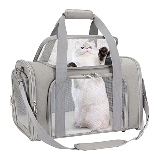 Ultimate Guide On The Best Carriers For Cats In 2023