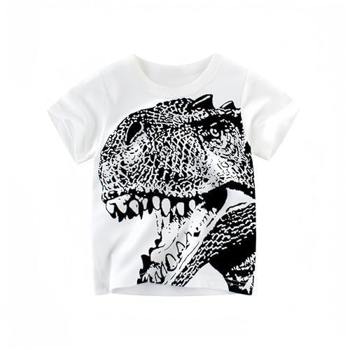 Boys' 3-Pack Dinosaur Short Sleeve Crewneck T-Shirts Top Tee Size 2-6 Years2