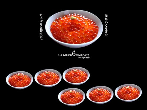 海夢 イクラ 醤油漬け 約500g の商品画像 3