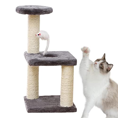 gato pequeno - Torre gato moderna | Torre escalada para gatos deitado e descansando granplaca quadra