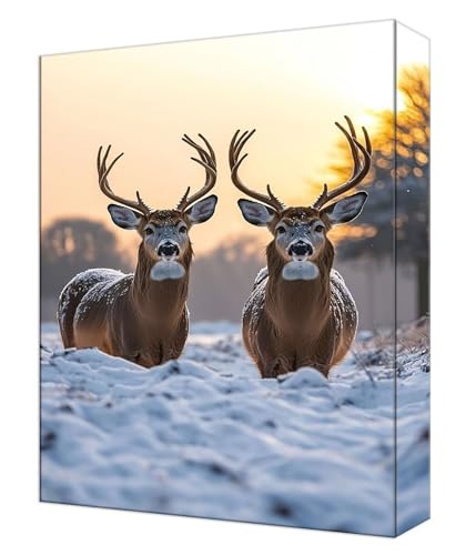 Peinture par Numéro Animal sans compétences - Kit Peinture Acrylique Cerf