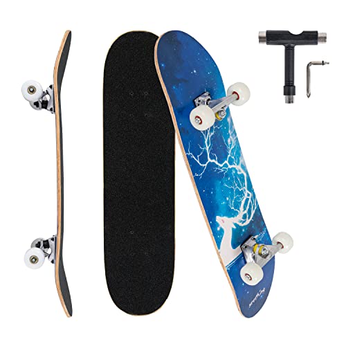 Jaoul Cruiser Skateboards For Beginners Complete Maple Skateboard 31 Inch For Girls Boys Youth Adults Kids Double Kick Standard Skateboard (Stag Patronus, 31") #TOP4