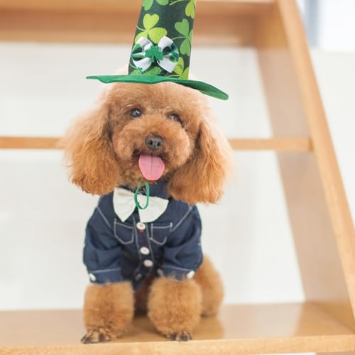 lurrose pgbNf[p\ybgXq LpVbNfUC pRXvLbv nEBANZT[