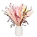 RosewineC 60 Stück Trockenblumen Deko Set Natürliche Pampasgras Getrocknet Blumen Dried Flowers Pflanzen Blumenstrauß Boho Pampas Deko für Wohnzimmer Home Hochzeit Vasen Tischdeko(Rosa) Hochzeit günstig Kaufen-RosewineC 60 Stück Trockenblumen Deko Set Natürliche Pampasgras Getrocknet Blumen Dried Flowers Pflanzen Blumenstrauß Boho Pampas Deko für Wohnzimmer Home Hochzeit Vasen Tischdeko(Rosa)