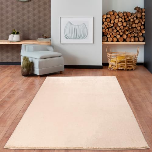 Alfombras Salon Modernas Pelo Corto Marca RUGURA