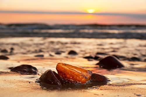 Amber Essential Oil - 100% Pure And Natural - Undiluted - No Carrier Oils - 5Ml - Pure Amber Essential Oils - Extracted From Himalayan Fossilized Amber Resin And Perfect For Aromatherapy #TOP6