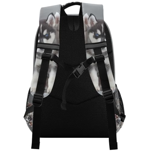 Cute Husky Dogs Backpack for Boys Girls Elementary School Bag Kids Travel Bags Casual Rucksack Laptop Bookbag2