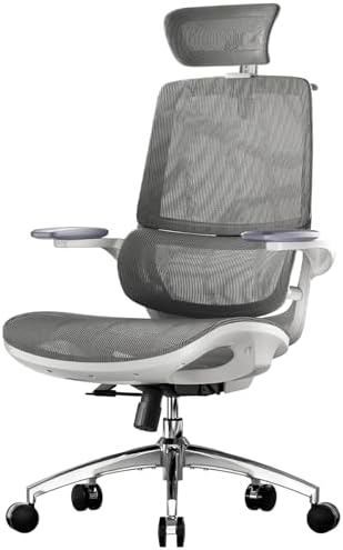 SIHOO M59AS Sedia da Ufficio Ergonomica, con braccioli ribaltabil...