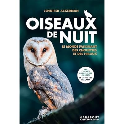Oiseaux de nuit: Le monde fascinant des chouettes et des hiboux