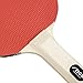 STIGA Beginner Ping Pong Paddles - Recreational to Performance Table Tennis Rackets Ages and Skill Levels - Multiple Styles + Performance Levels Available