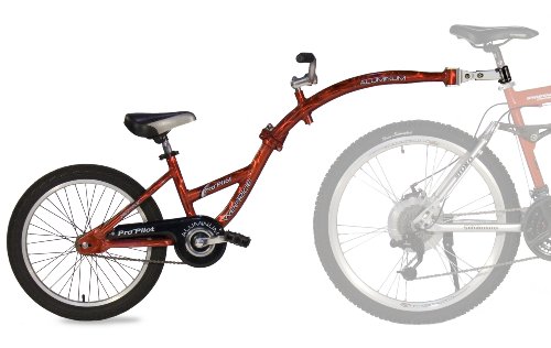 WeeRide Pro-Pilot Bicycle Trailer