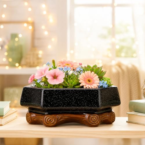 Image of Xtore Refined Rustic Ceramic Bonsai Planter Pot for Indoor & Tabletop Decor | Handcrafted Wide Bowl with Wooden Base Stand for Succulents, Zen Gardens & Home Styling (Pack of 1,Planter Only)