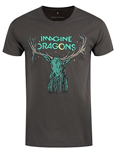 Imagine Dragons - T-shirt - Manches courtes Homme, Gris (Grey), X-Large