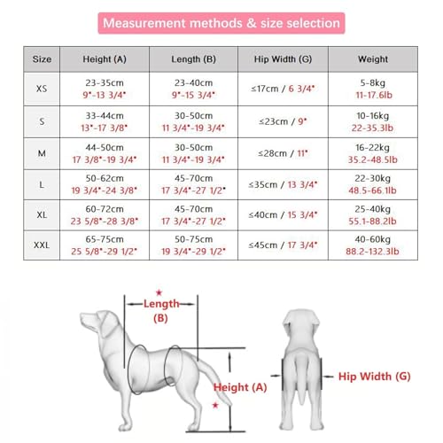 Fauteuil roulant réglable pour chiens XXL | Aide à la marche bleue